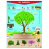 POSTER EL ARBOL