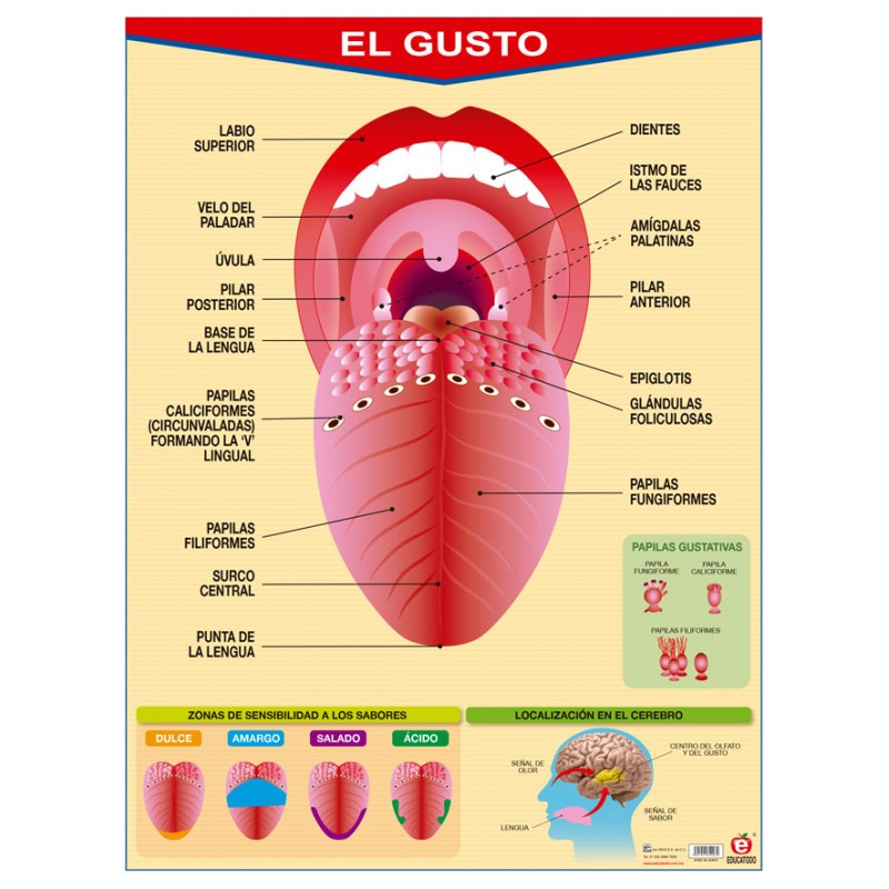 POSTER EL GUSTO