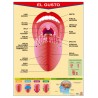 POSTER EL GUSTO