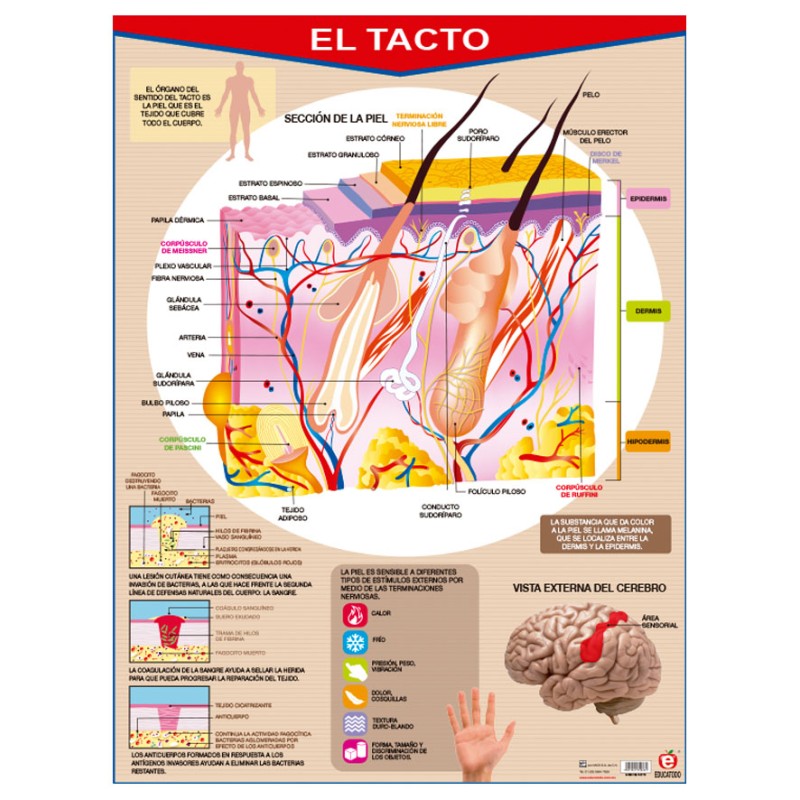 POSTER EL TACTO C/B
