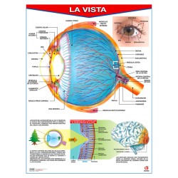 POSTER LA VISTA C/B