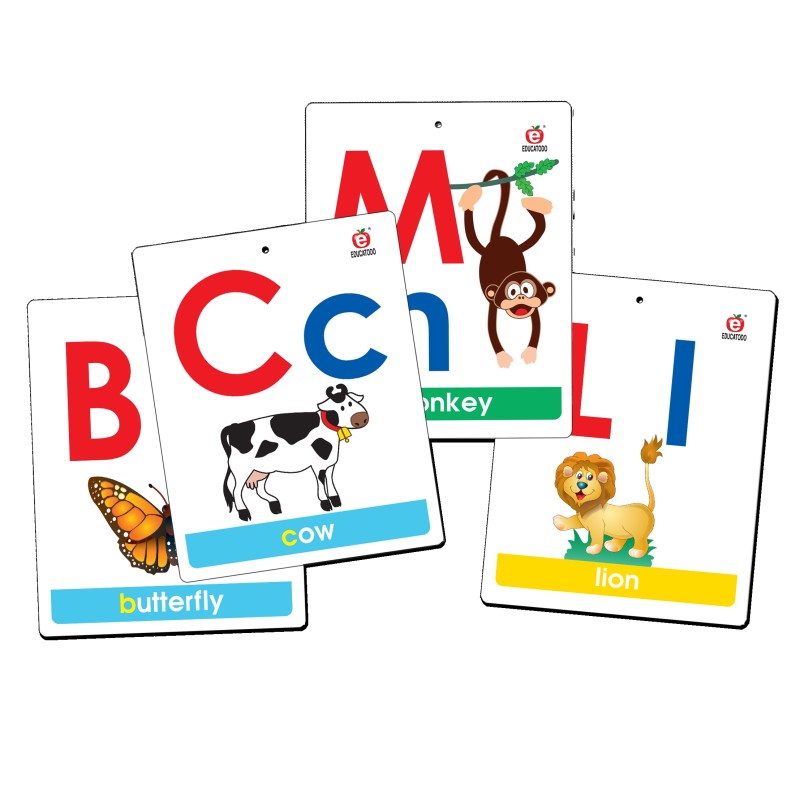 MEGA FLASH CARDS ALPHABET & ASSOCIATION