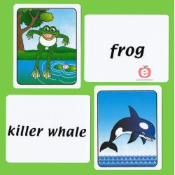 MEMORY GAME IMAGE TEXT