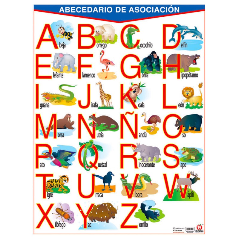 POSTER ABECEDARIO DE ASOCIACION C/B