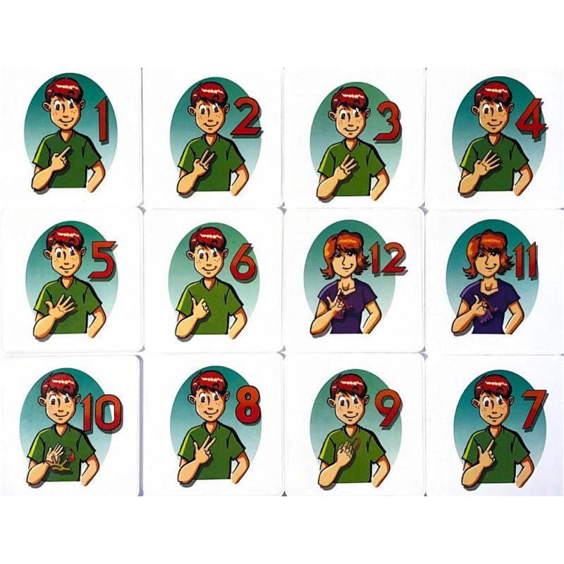 FLASH CARDS DE NUMEROS LSM