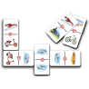DOMINO DE TRANSPORTES