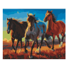 PPN 40 X 50 CABALLOS